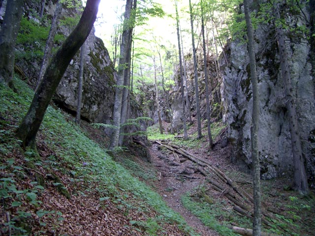 Promisque Graben