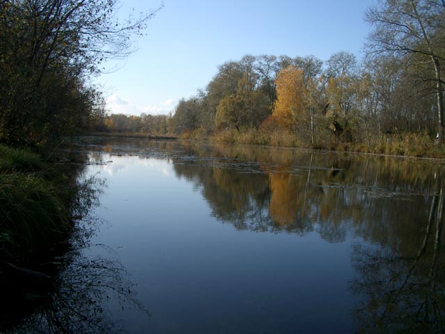 Mühlwasser