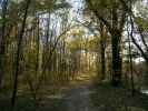 Obere Lobau
