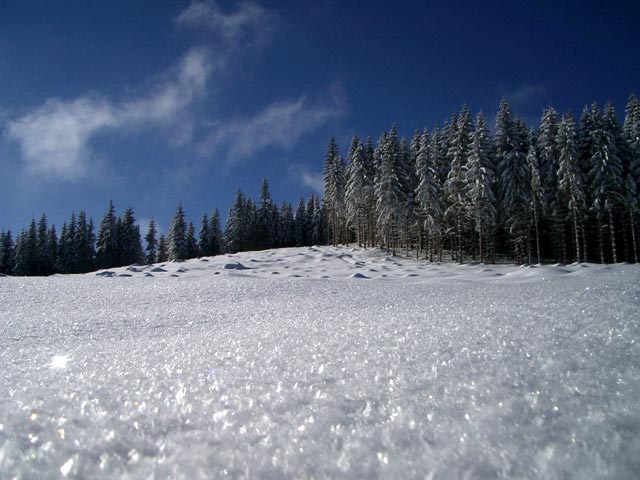 Lehnereck