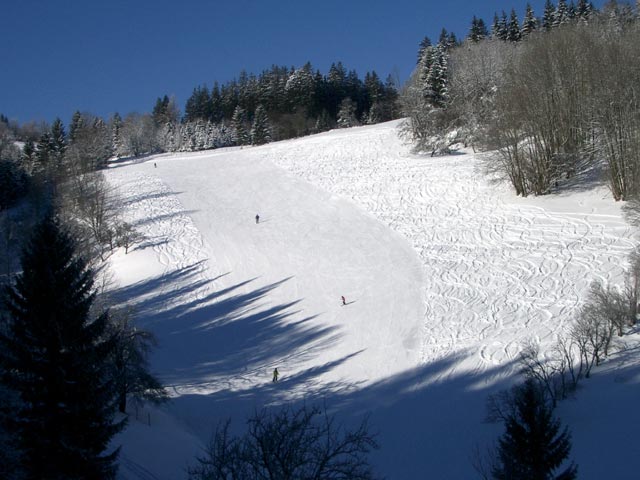 Mistwiese