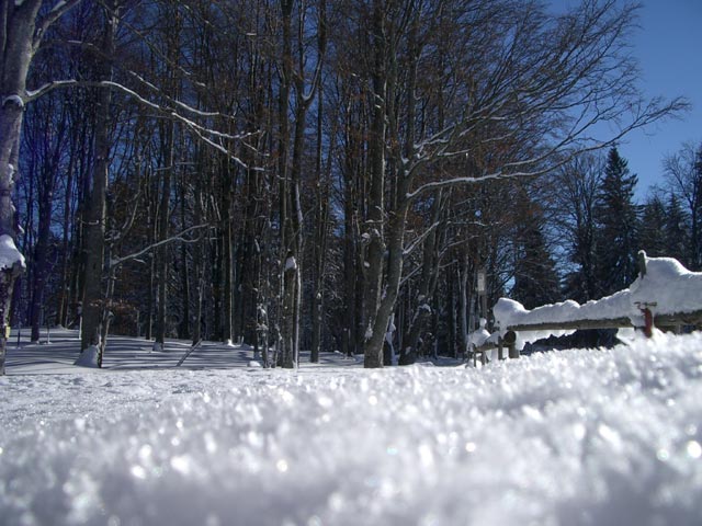 Eibl