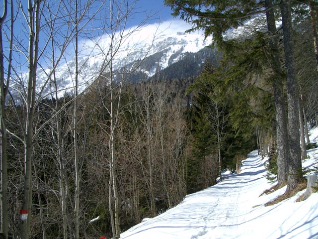 Schöllerabfahrt