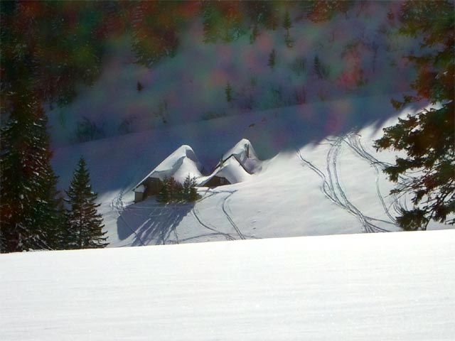 Schalleralm