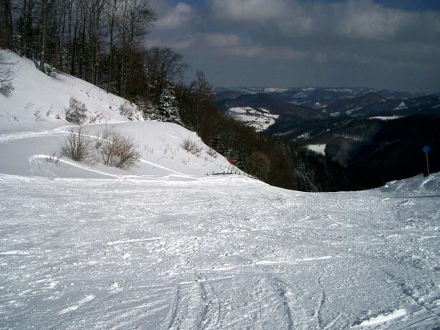 Sutte