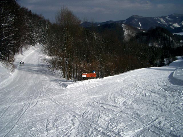 Sutte