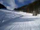 Sutte