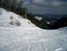 Sutte