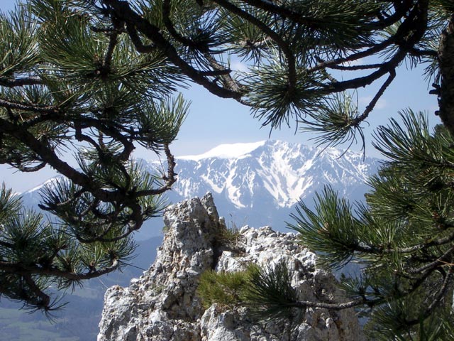 Schneeberg