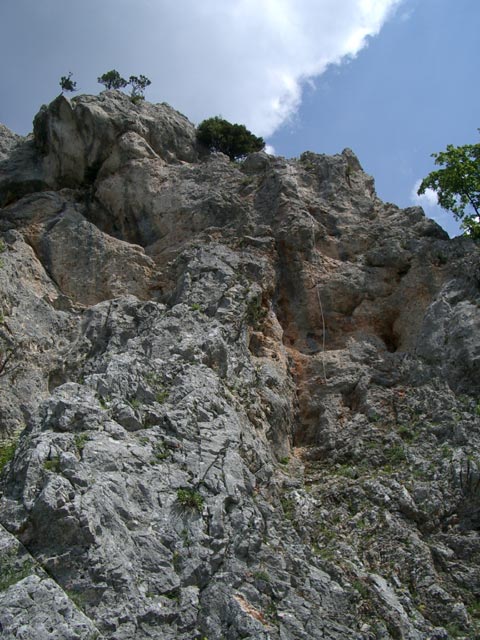 Blutspur