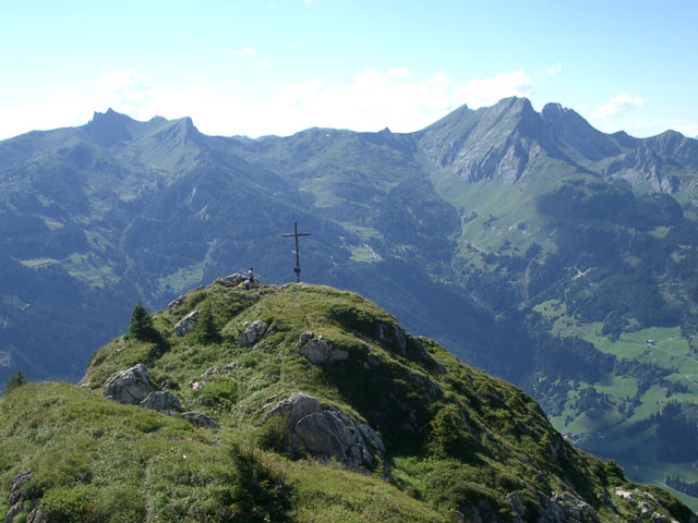 Saukarkopf