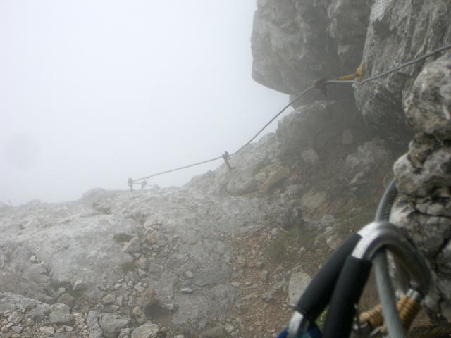 Stella Alpina