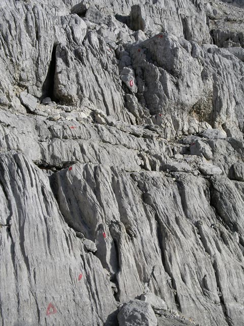Weg 612 'Nuaracher Höhenweg' zwischen Großem Rothorn und Schaflegg (13. Nov.)