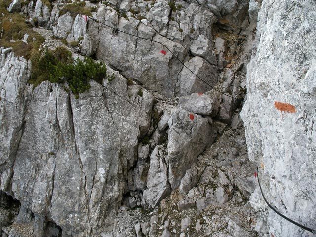 Weg 612 'Nuaracher Höhenweg' zwischen Schaflegg und Seehorn (13. Nov.)