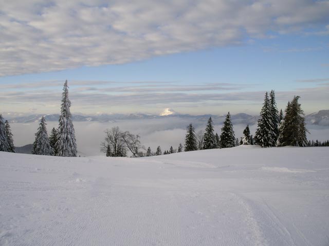 Almbodenabfahrt