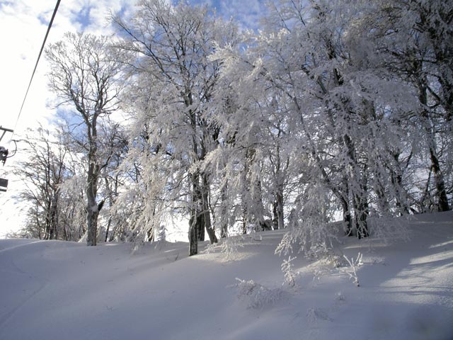 neben der Bergbahn Lilienfeld