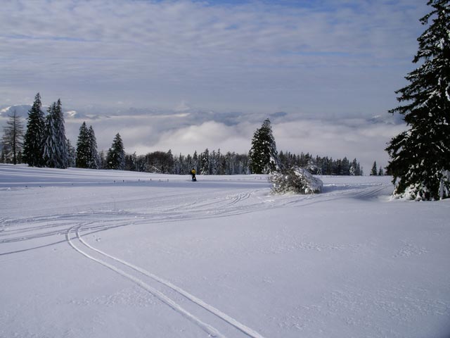 Almbodenabfahrt