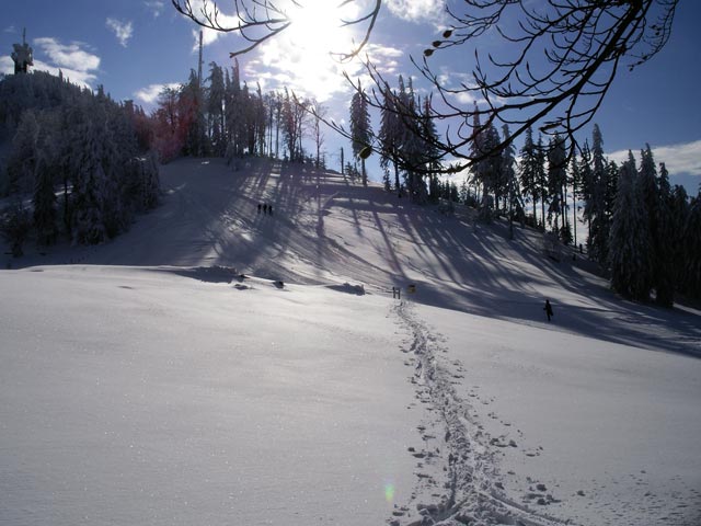 Muckenkogel