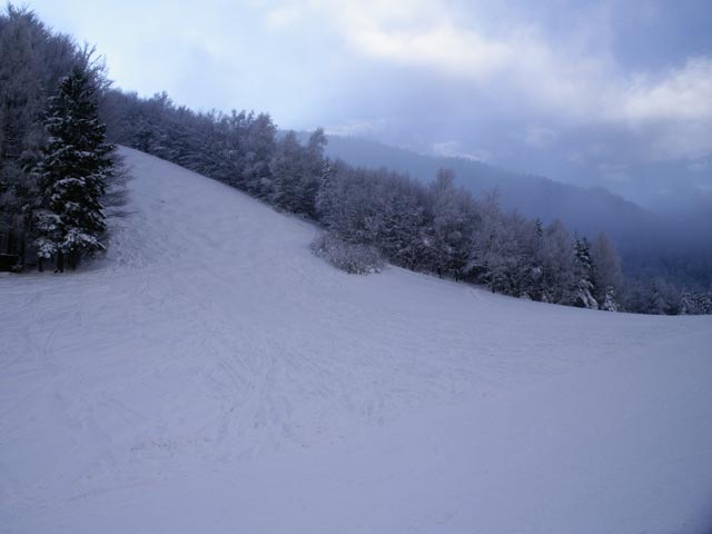 Schneise