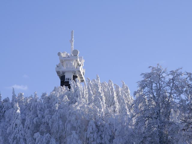 Muckenkogel