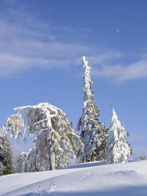 Skiroute Schneissl