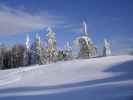 Skiroute Schneissl