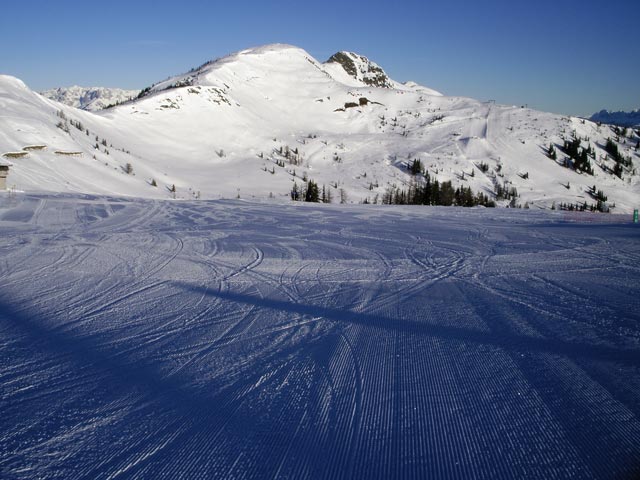 Powder Abfahrt