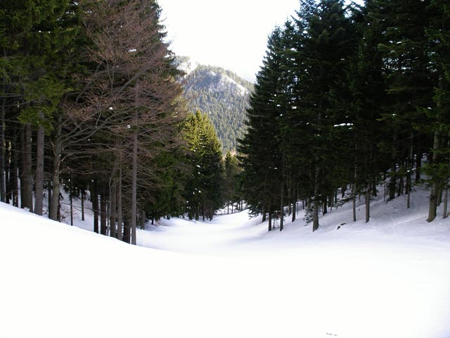 Abfahrt 1