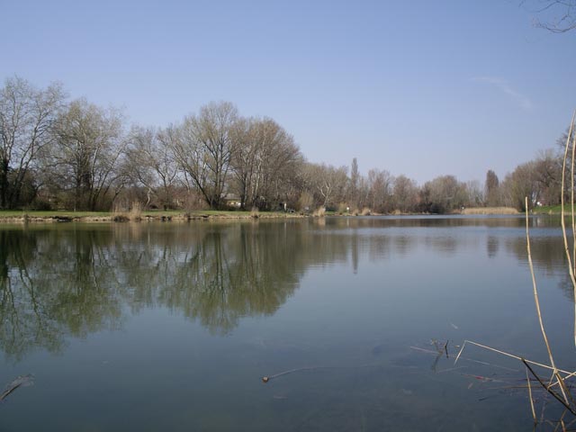 Mühlwasser