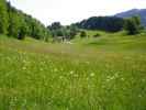 Spalla (10. Juni)