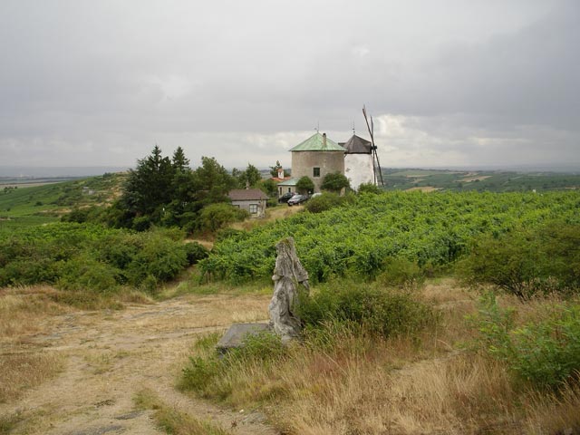 Windmühle