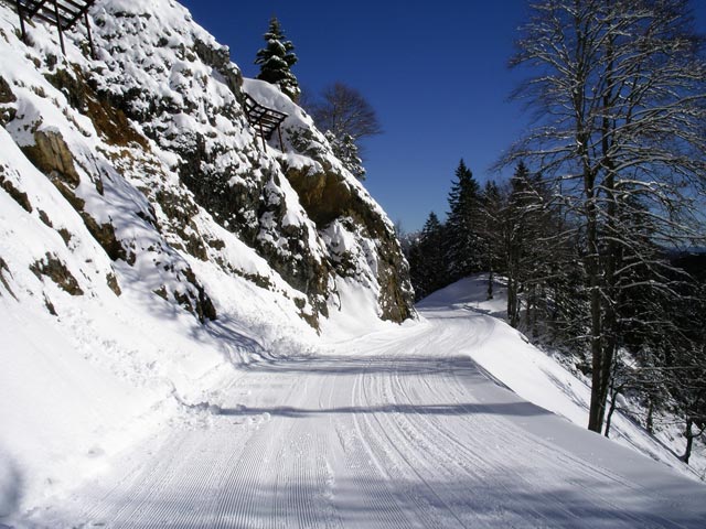 Familienabfahrt