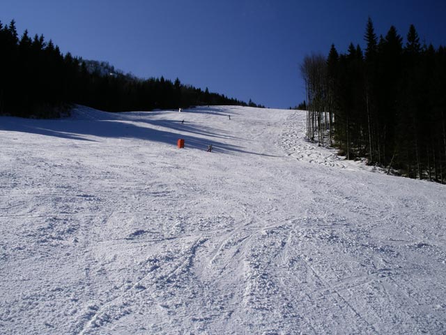 Distelpiste SL