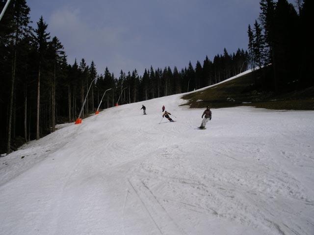 Alm-Abfahrt