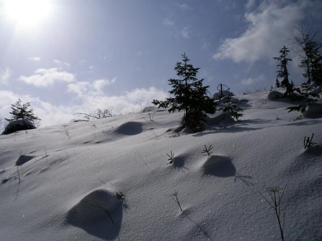 Kogelboden