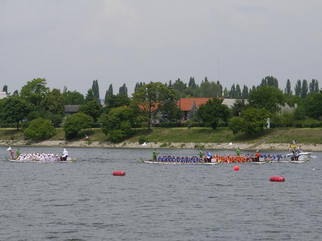 Alte Donau