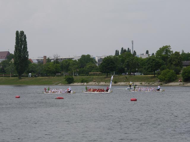 Alte Donau