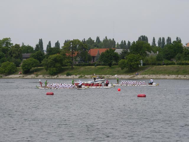 Alte Donau