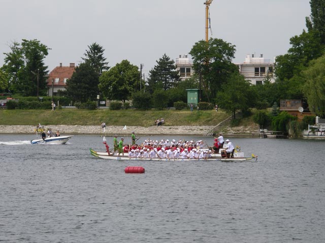 Alte Donau