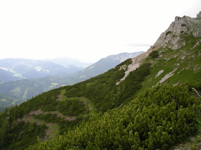 Blasriegel