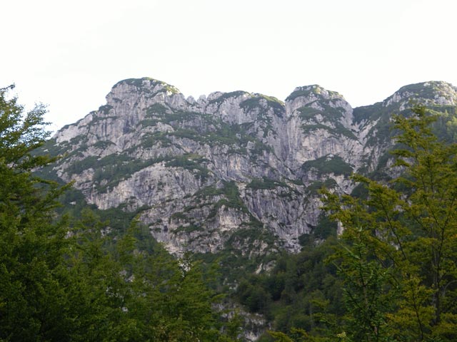 Vette Scabre