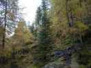 Karnischer Höhenweg zwischen Forcherkaser und Leckfeldsattel (6. Okt.)