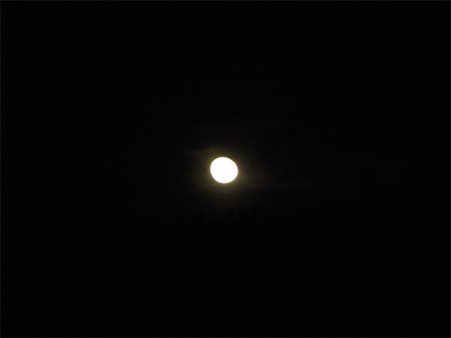Mond