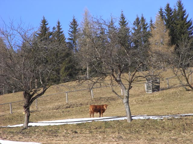 Handlbauer
