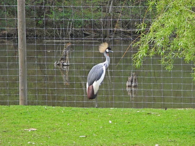  im Tierpark