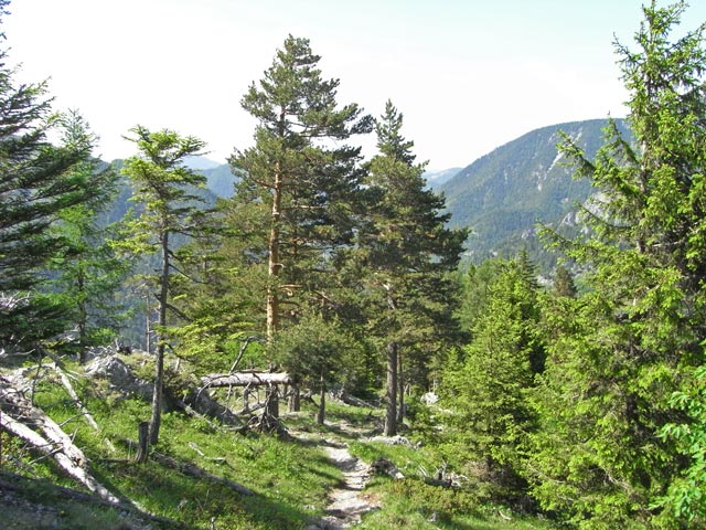 Wachthüttlkamm