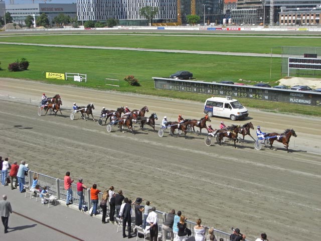 5. Rennen