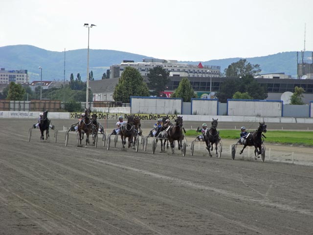 10. Rennen