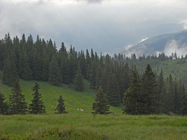 Kampalpe