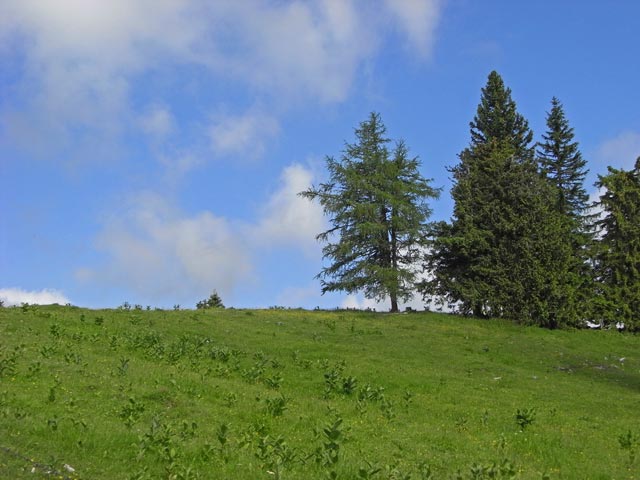 Kampalpe